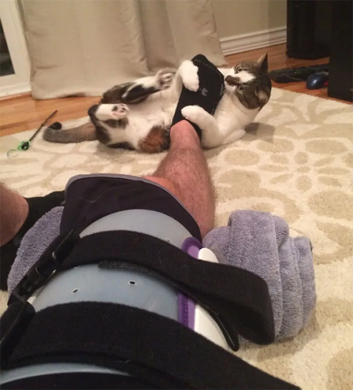 I Just Had Surgery And Need To Do My Physical Therapy