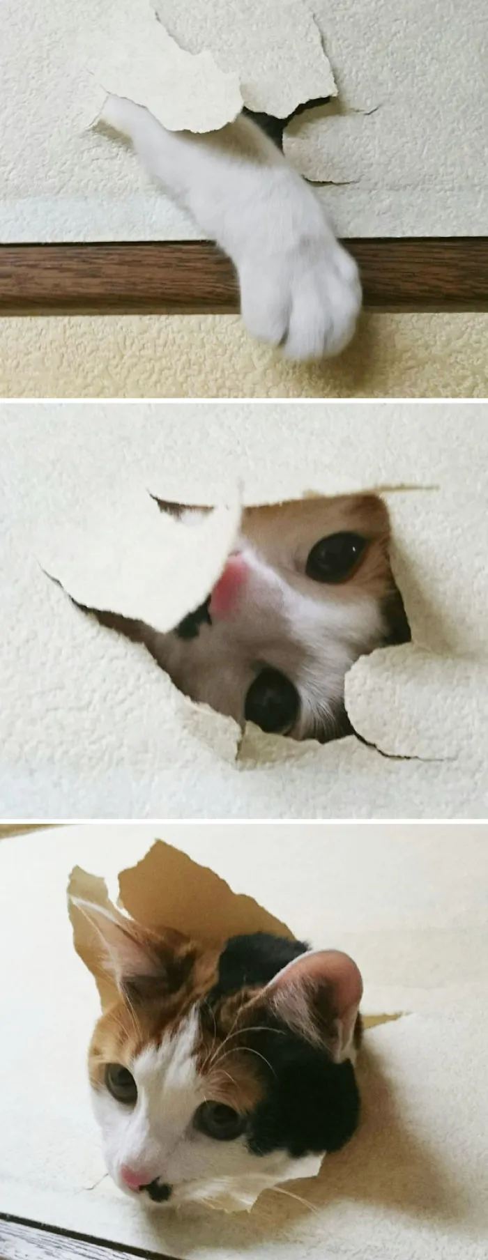 Hola buenas
