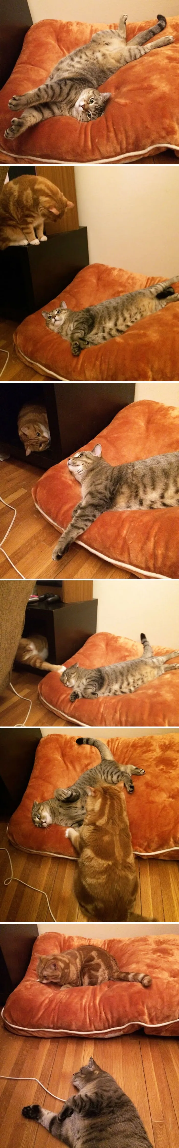 "You're In My Spot." A Short Story