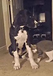 Love You. Asshole. Love You