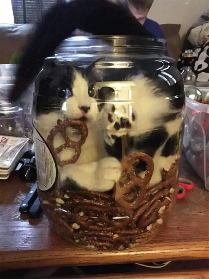 This Is My Life Now, But At Least I Have Pretzels