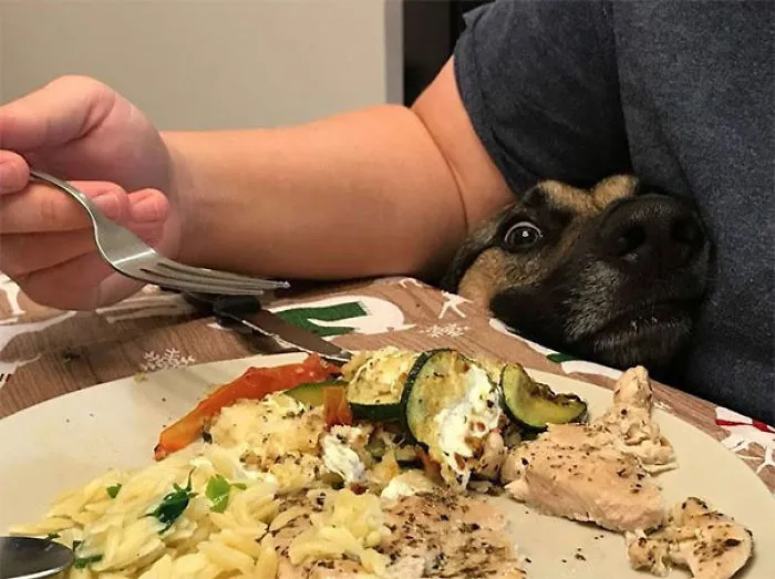 She Doesn't Think We'll Notice Her