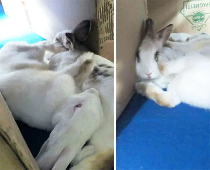 When She Has No Concept Of Personal Space, But Still Love Her