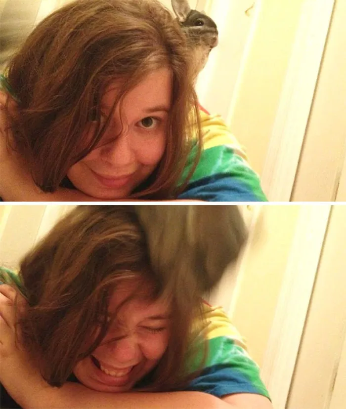 Chinchillin’ One Minute - Launching Herself Off My Head The Next