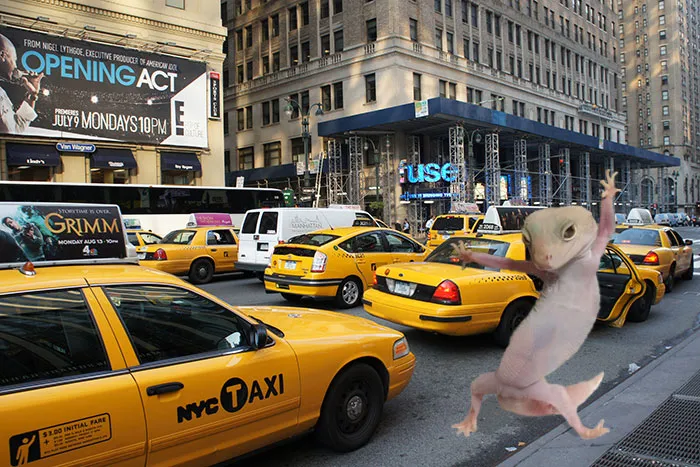¡taxi!