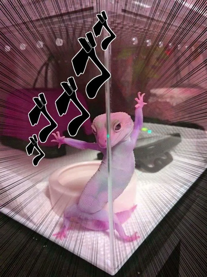 It's Cute