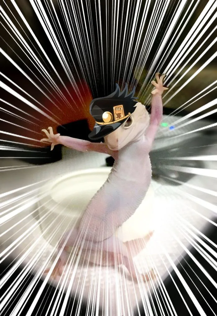 Hey Nigga
