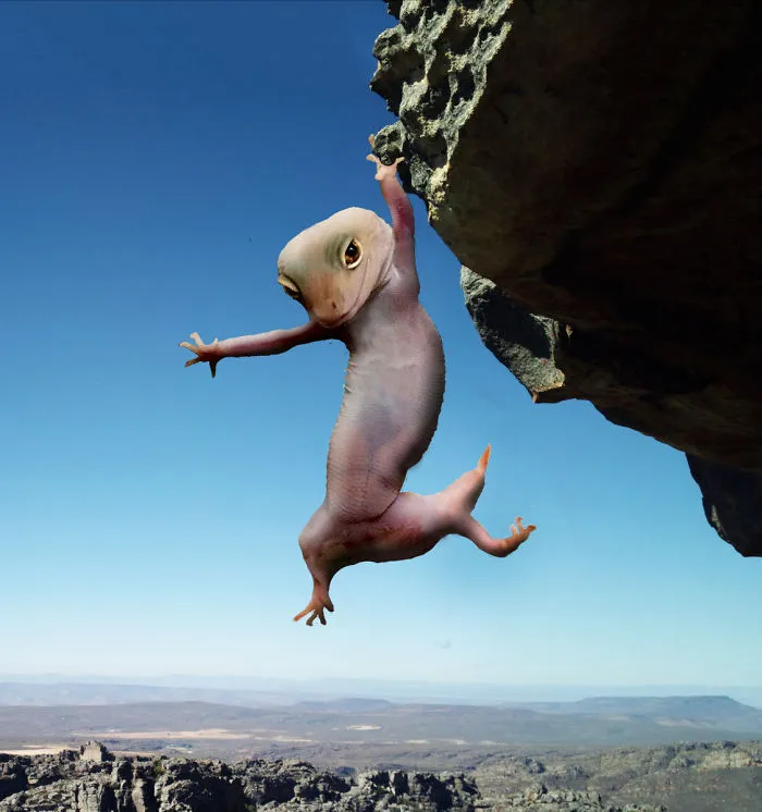 Cliffhanger