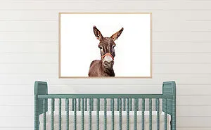 I Photograph Rescue Animals In Adorable Storybook Settings