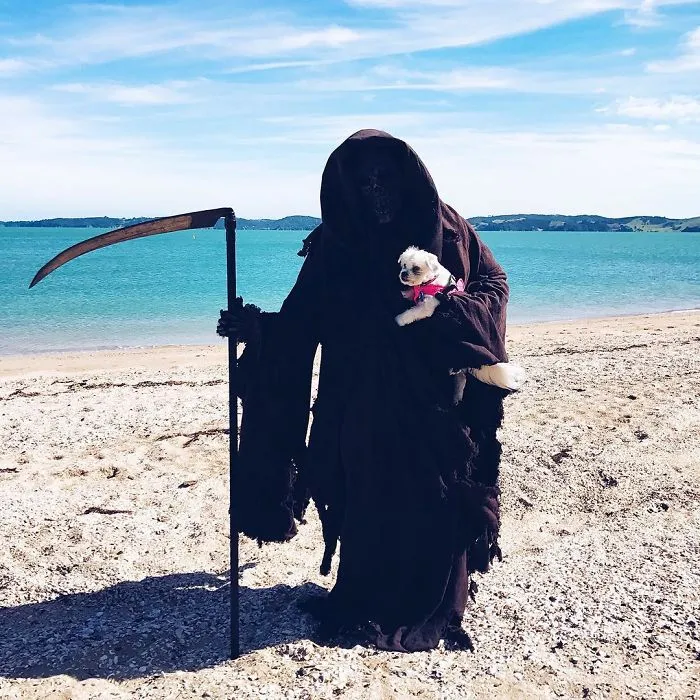 La cuenta de Instagram de la Muerte en la playa es oro puro