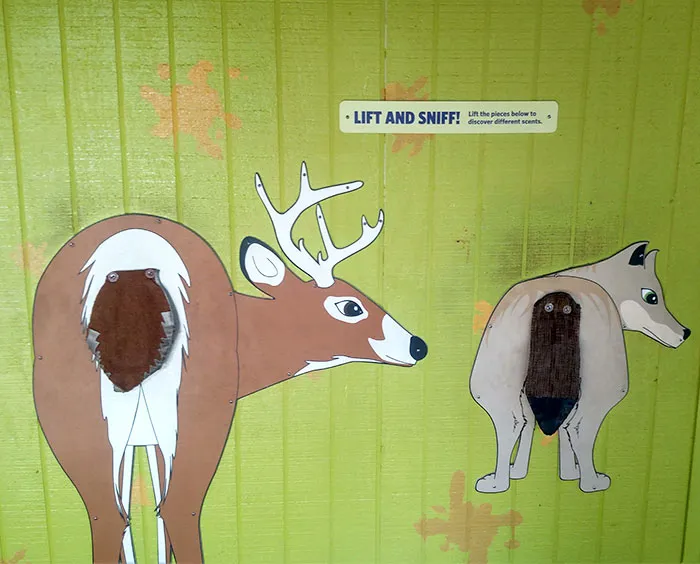En el zoo tienen esto para levantar las colas de los animales y oler