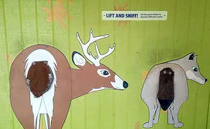 193 Epic Design Fails You’ll Find Hard To Believe Actually Happened