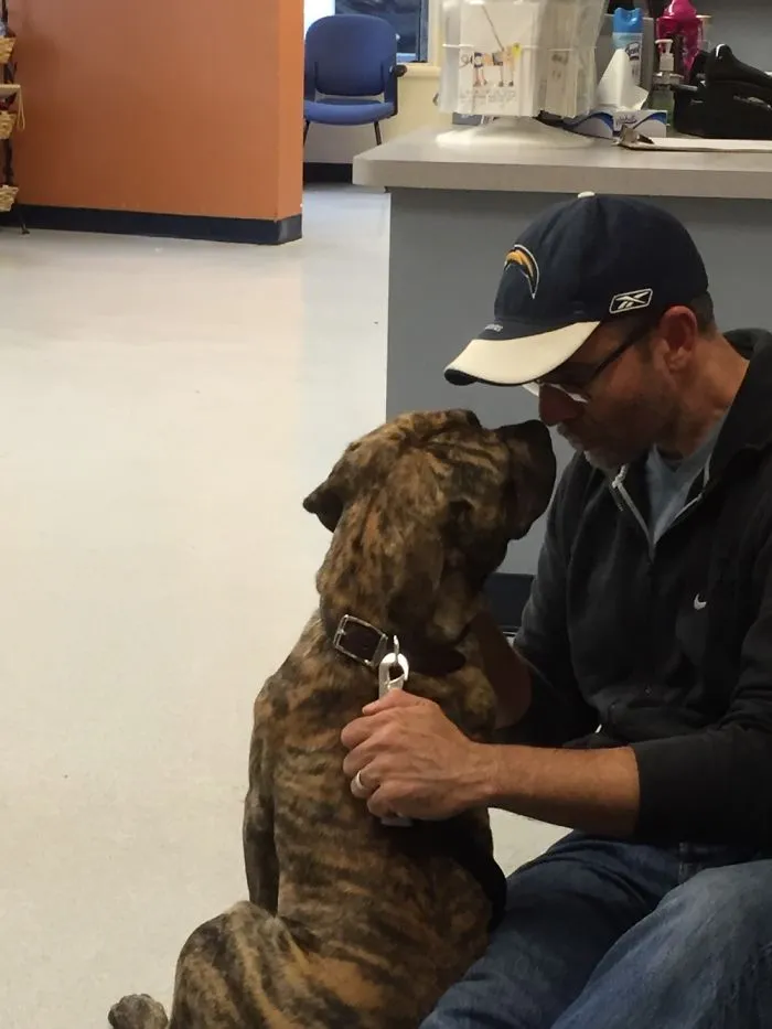 Taking Fitz Home From The Pound.  Love At First Sight.
