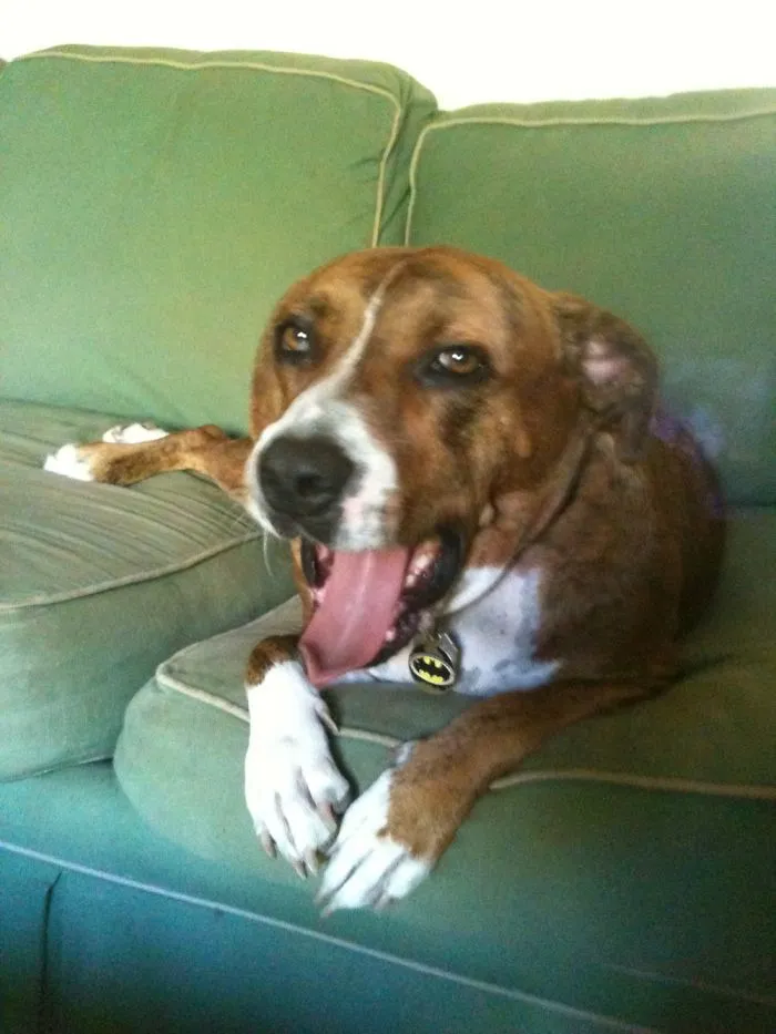 You Bore Me Human.