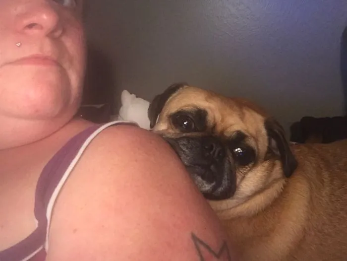 I Wanted To Lay Down On My Pillow, Fatty Had Her Own Plans.