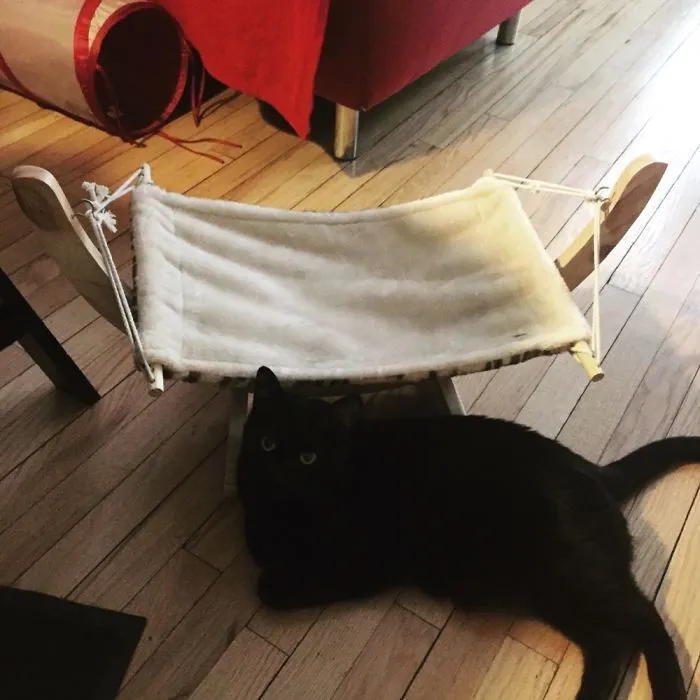 Screw Your Hammock!