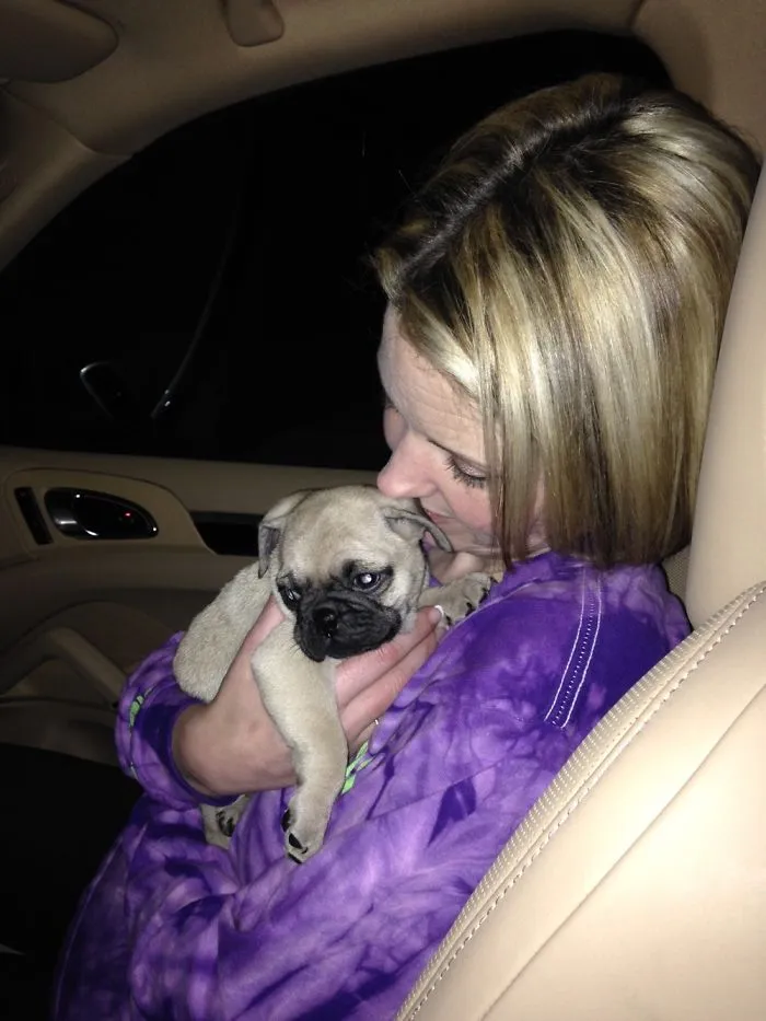 Tallulah, My Love