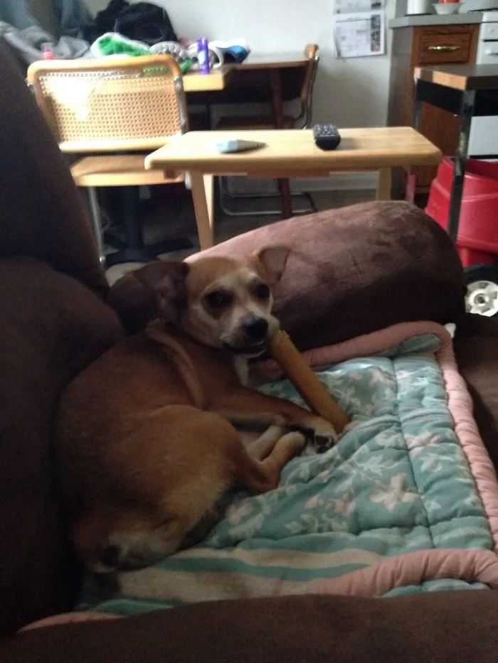 This Is My Bone