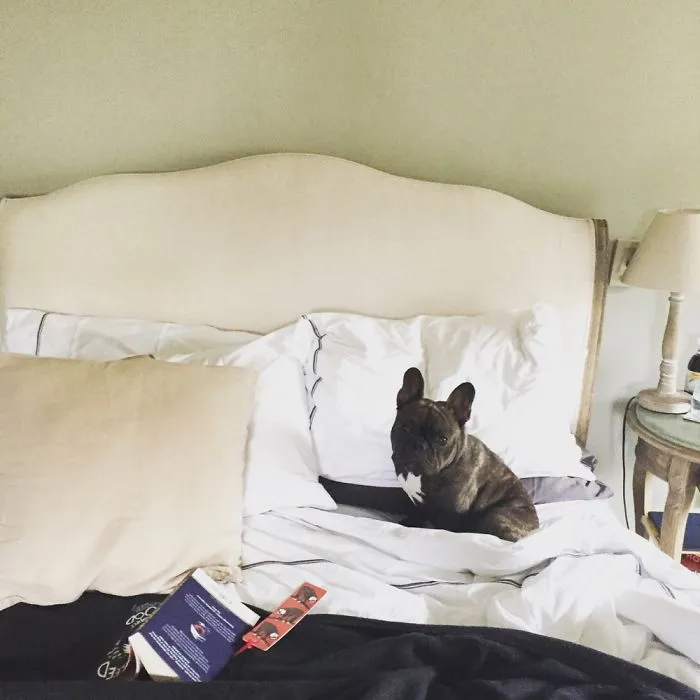 It’s My Bed Now
