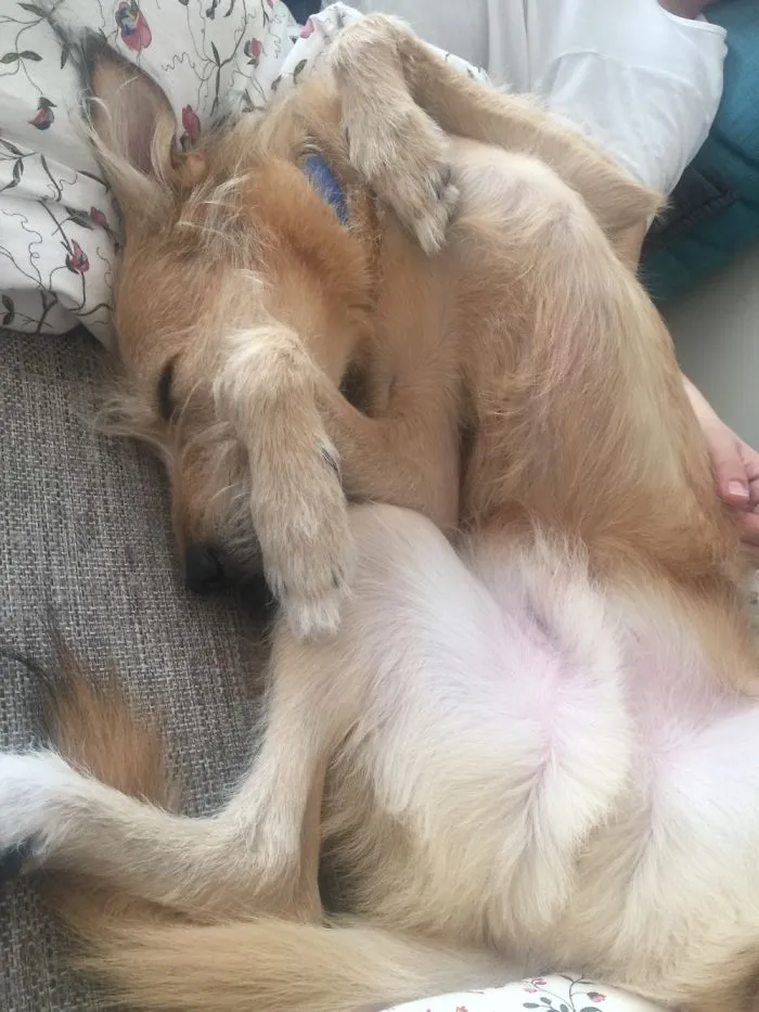 Sleepin