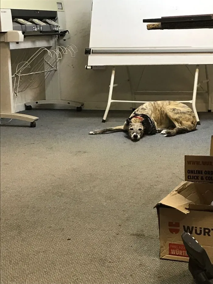"I Hate Being At Work, When Can I Go Home Mummy?"