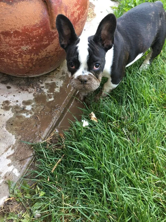 Mmmmmmm Mud!