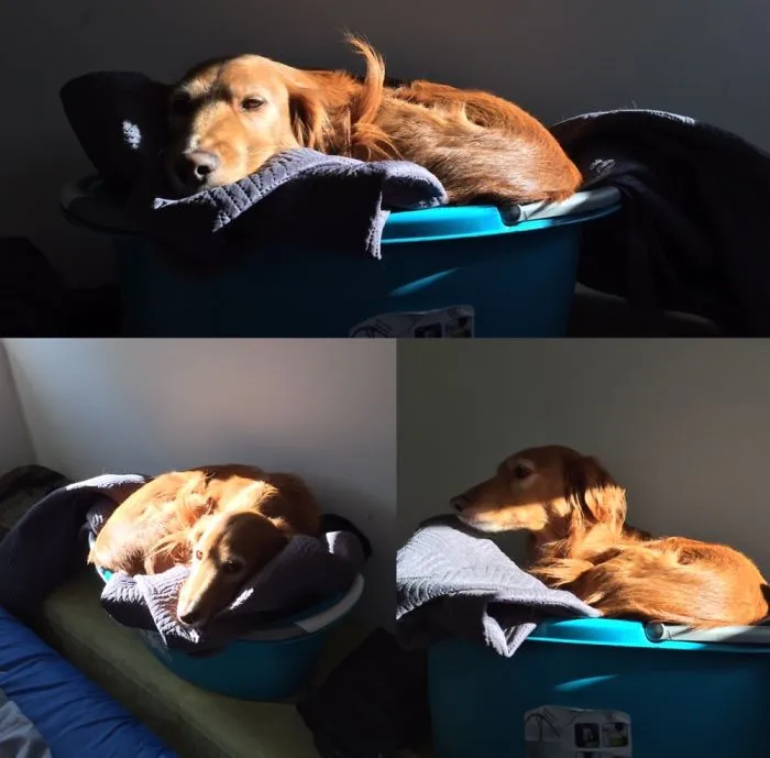 She Likes Clean Clothes