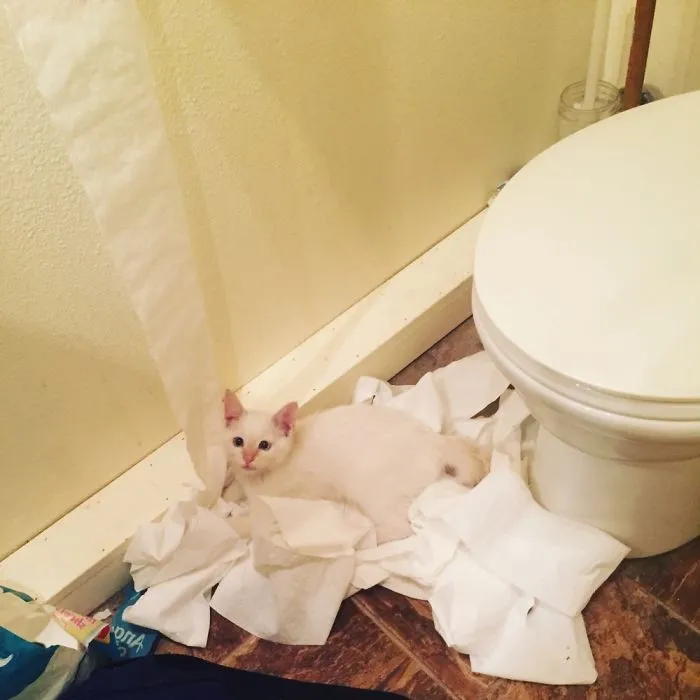 Can I Help You?