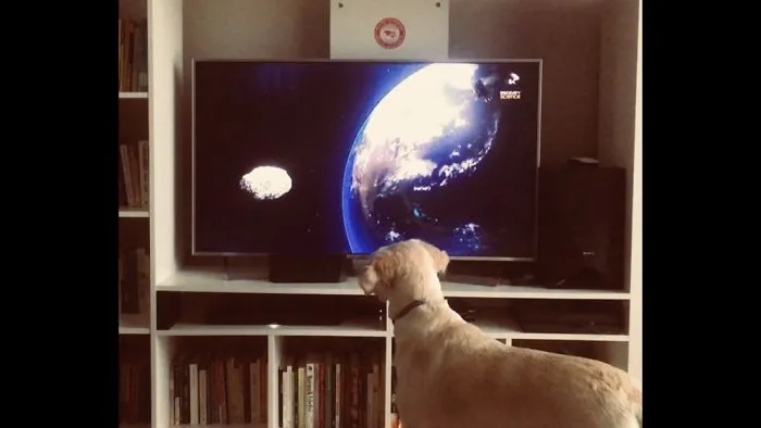 “I’ve Always Been Into Astrowoff Woof!”