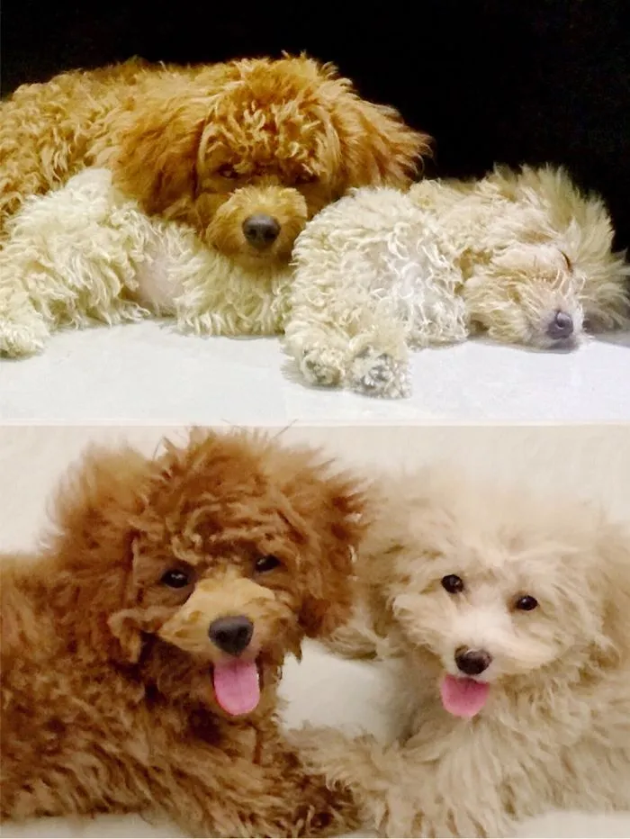 Chocolate And Candy’s Chillax And Sweet Moments. Bestfriend Goal!