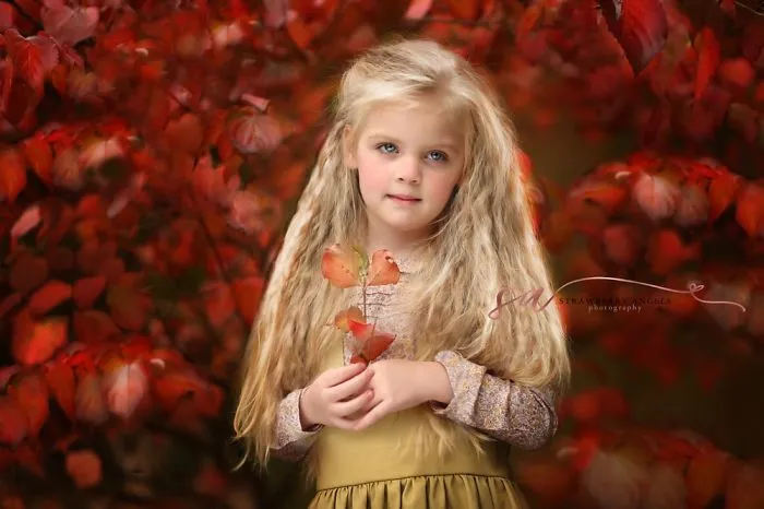 Photos In The Fall