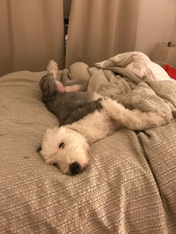 Too Comfy