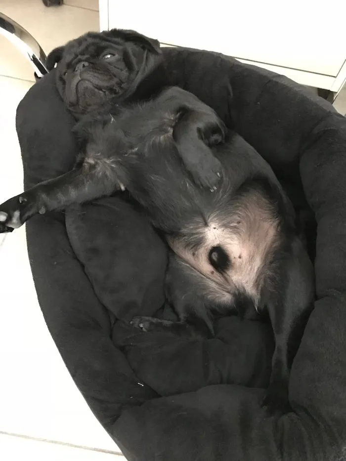 Exhausted!