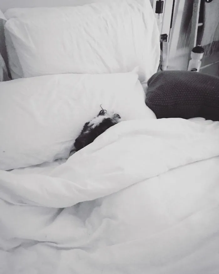 Beauty Sleep