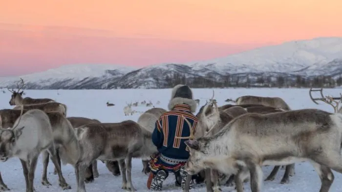 Arctic Winter