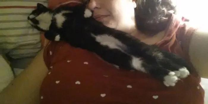 And Good Night To You, Too...