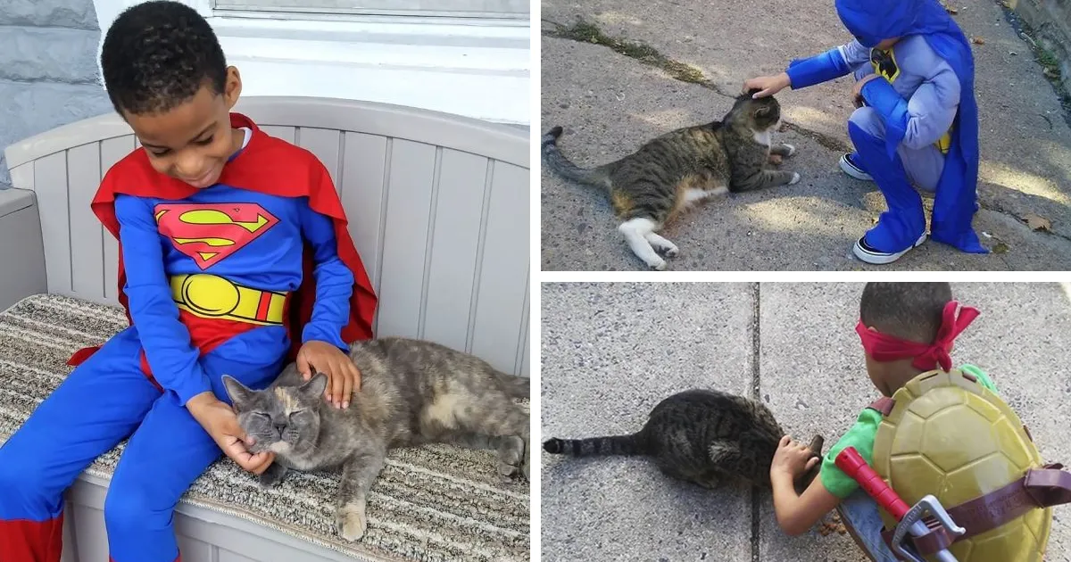 Este niño de 5 años se disfraza para ayudar a gatos sin hogar, porque cree que es un superhéroe para ellos
