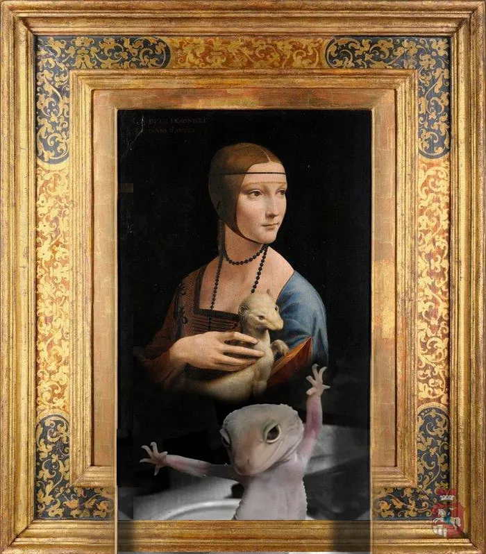 Lizacode