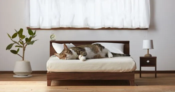 Miniature Cat Furniture From Japan To Please Your Master