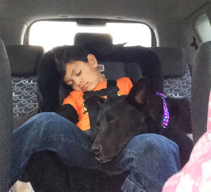 Mi hijo con nuestro perro 20 minutos después de adoptarlo