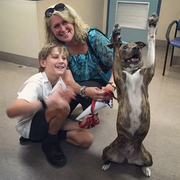 Familia emocionada momentos después de la adopción