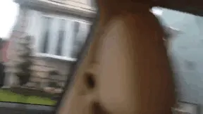 He sorprendido a mi padre con un cachorrito