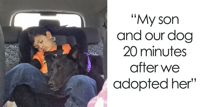 50 Times People Met Their Dogs For The First Time, And The Looks On Their Faces Will Make Your Day