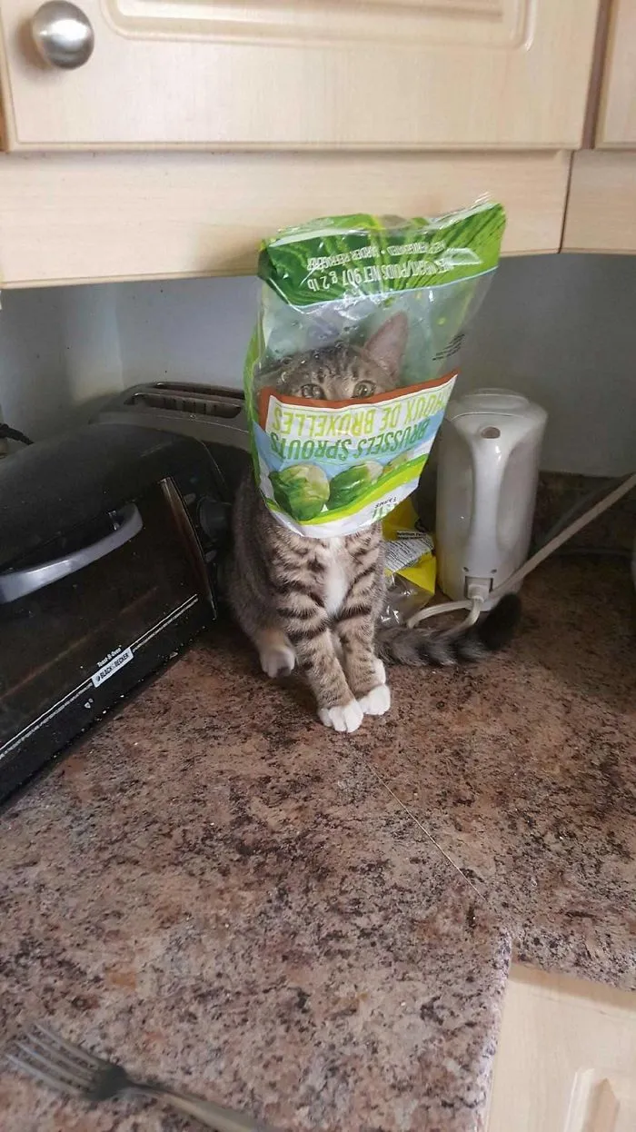 "He Can't See Me"