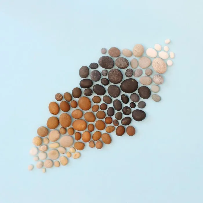Satisfying Arrangements Of Everyday Objects By Caroline South