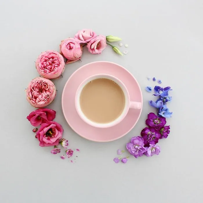 Satisfying Arrangements Of Everyday Objects By Caroline South