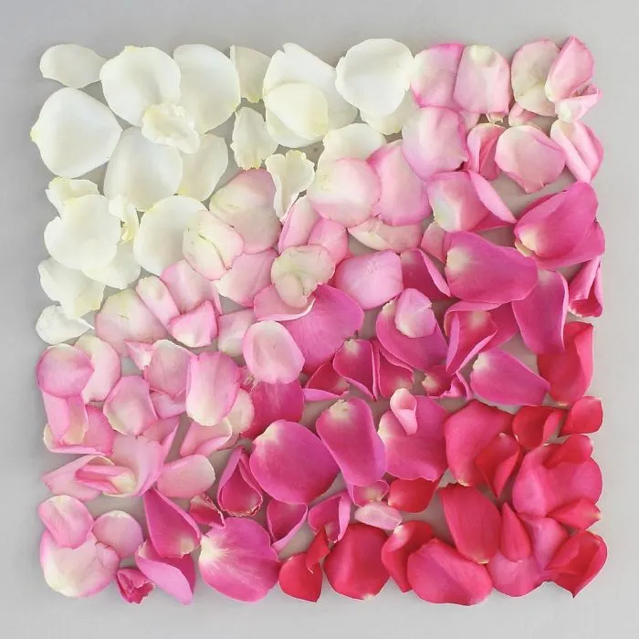 Satisfying Arrangements Of Everyday Objects By Caroline South