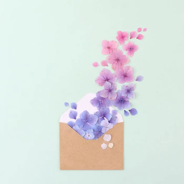 Satisfying Arrangements Of Everyday Objects By Caroline South