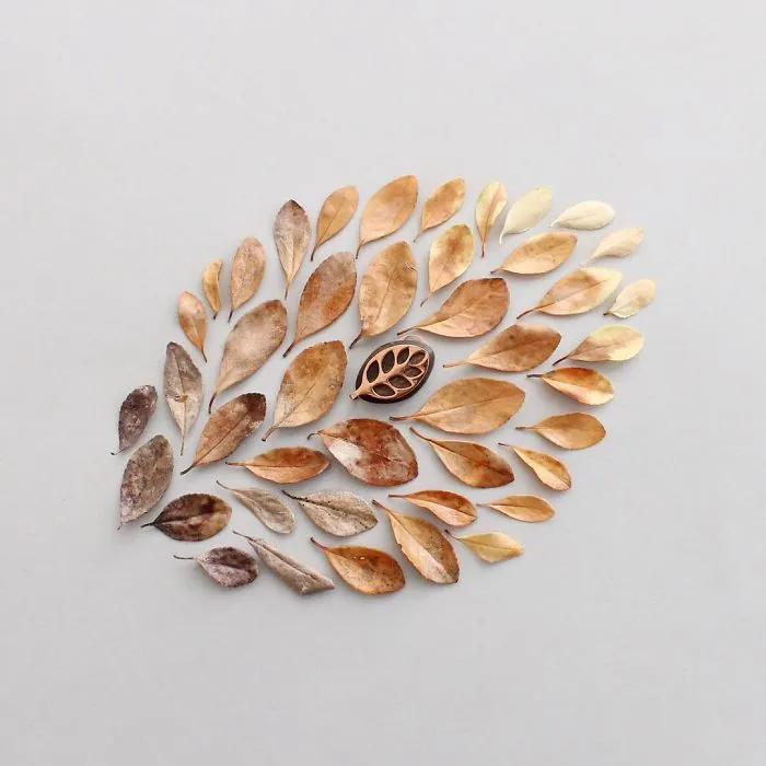 Satisfying Arrangements Of Everyday Objects By Caroline South