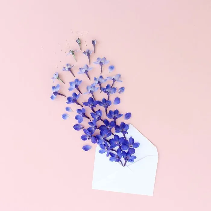 Satisfying Arrangements Of Everyday Objects By Caroline South